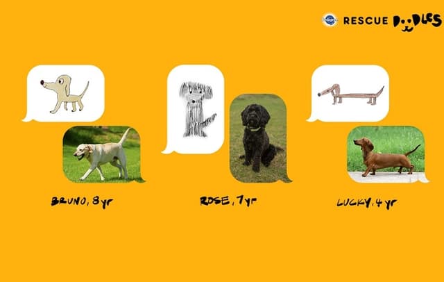 (ВИДЕО) Rescue Doodles – нова кампања на Pedigree